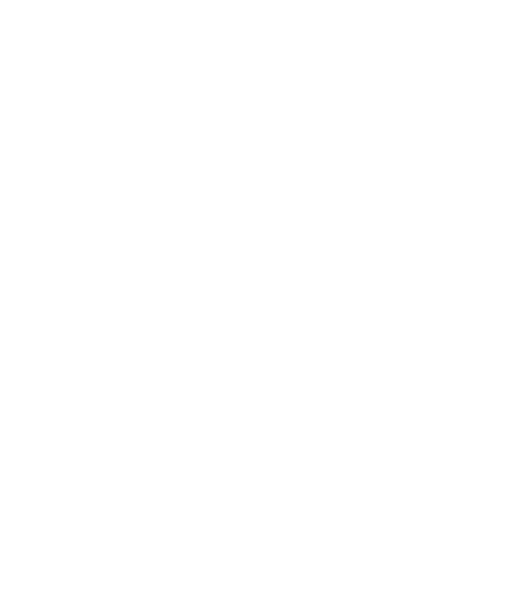 NLG Rochester Logo Banner